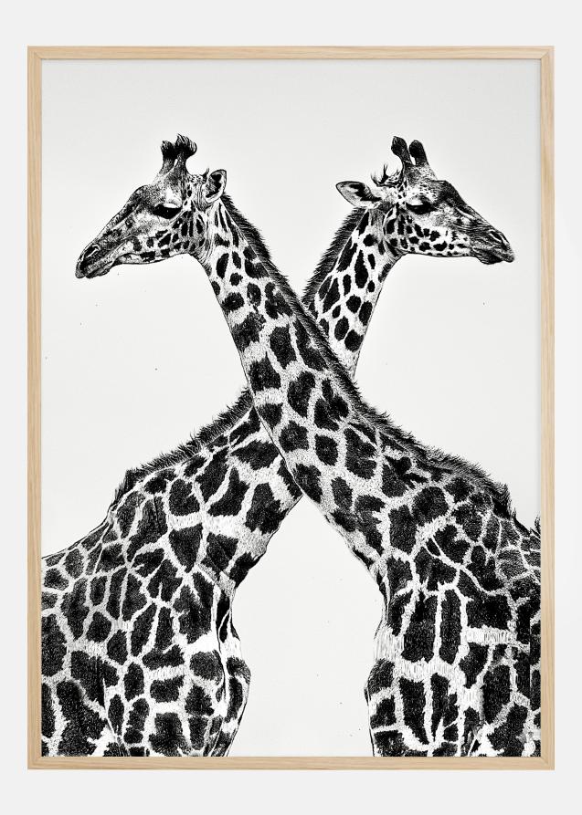 Two giraffe towers Poster