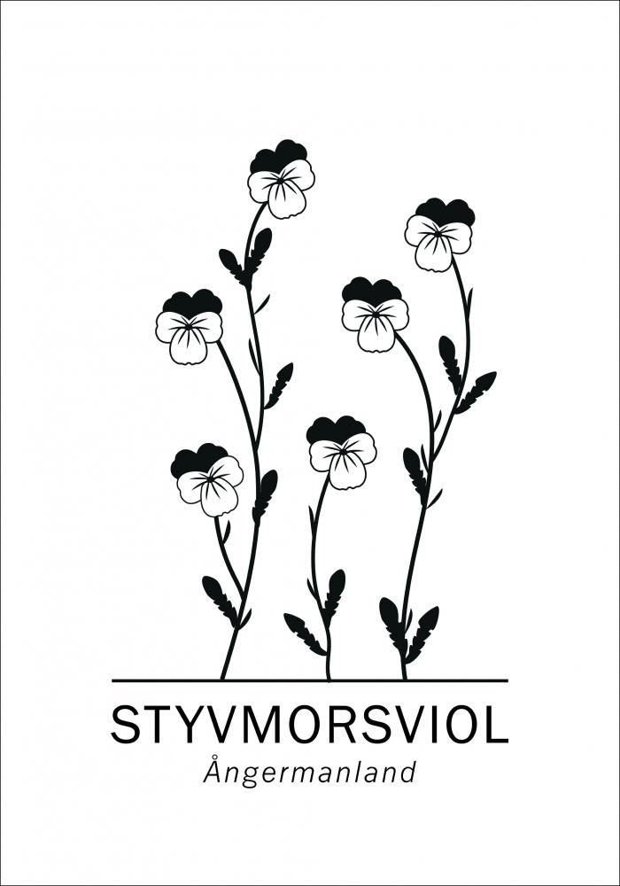 Styvmorsviol - ngermanland Poster