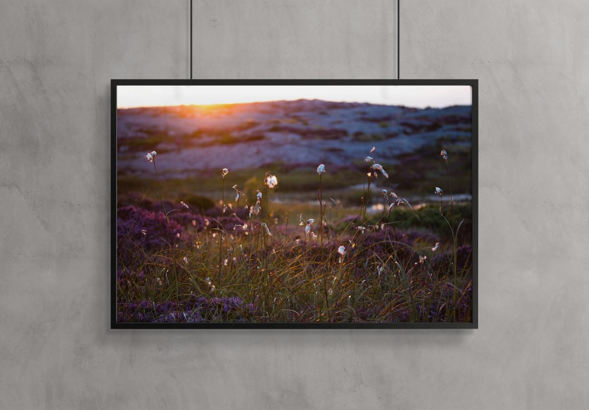 Summer evening on the rocks Poster