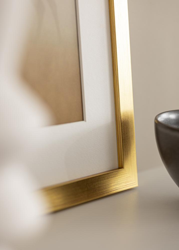 Ram Gold Wood Akrylglas 50x60 cm