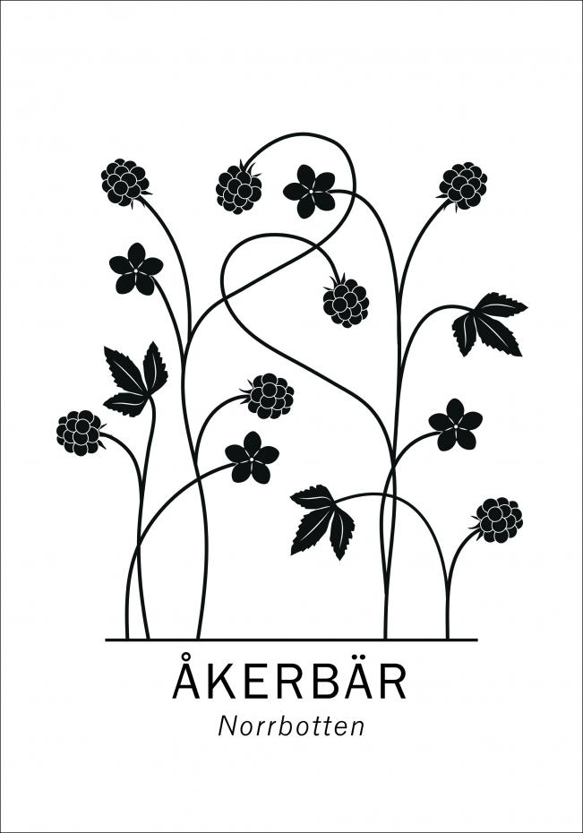 kerbr - Norrbotten Poster