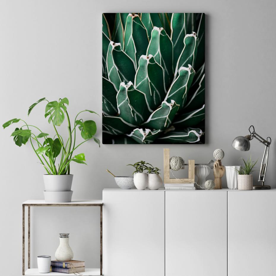 Green Plant 40x50 cm Poster