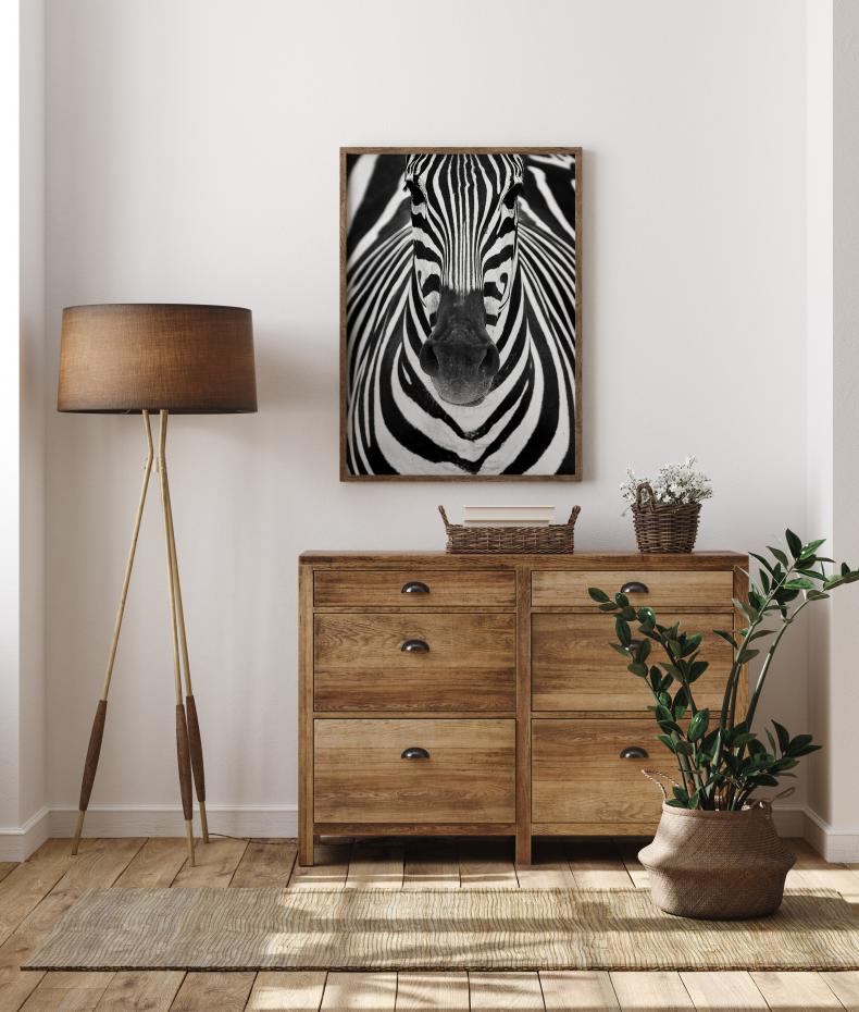 Zebra Poster