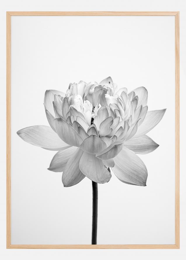 Grey flower Poster