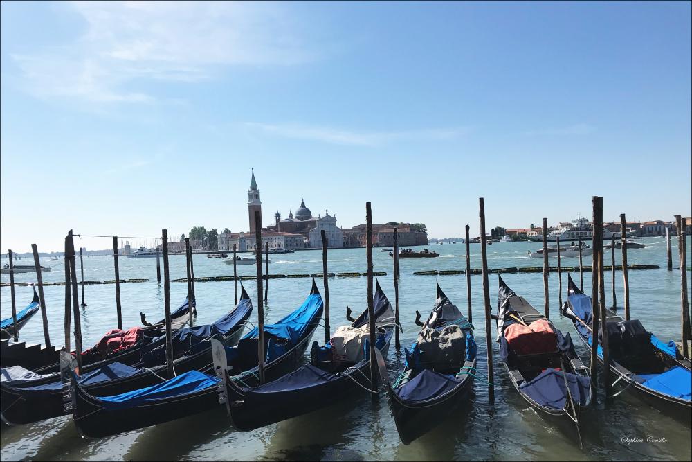 Venice Italy Gondola Poster