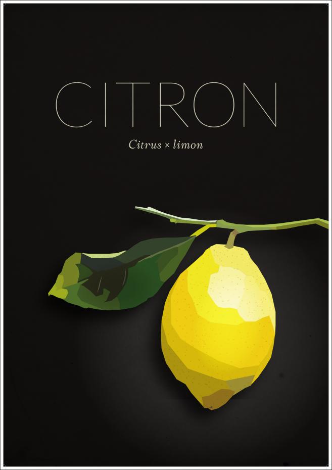 Citron Poster