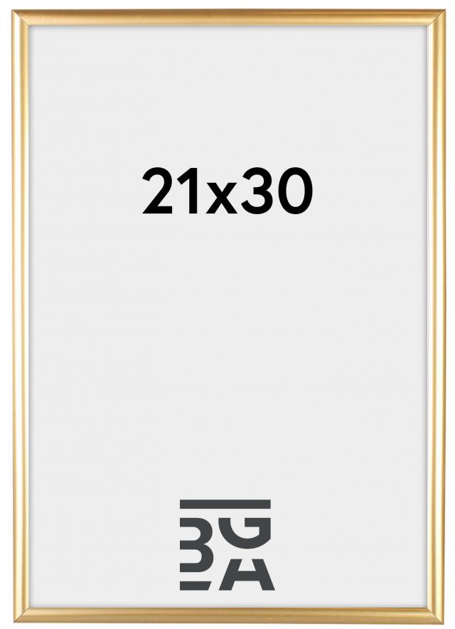 Ram Victoria Guld 21x30 cm