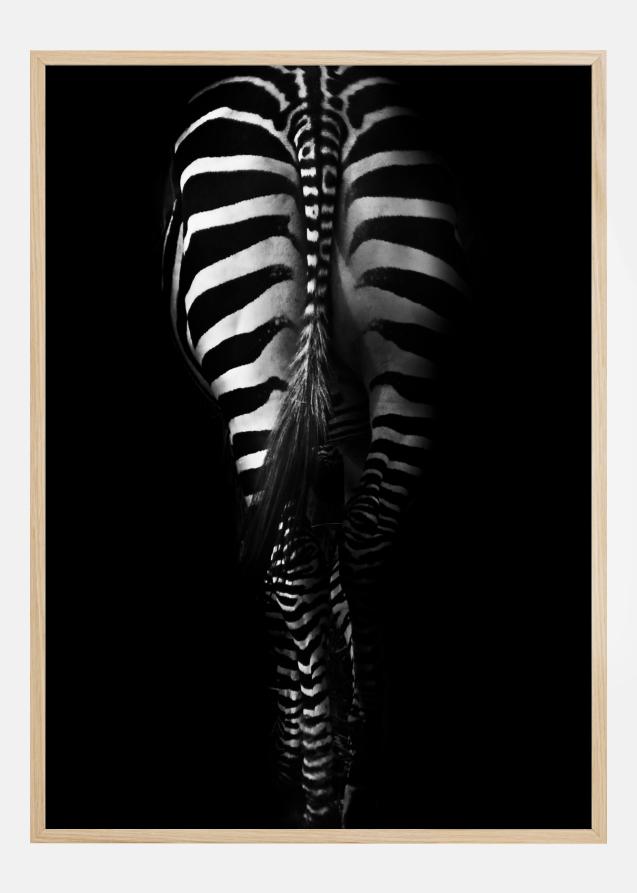 Zebra Tail Poster