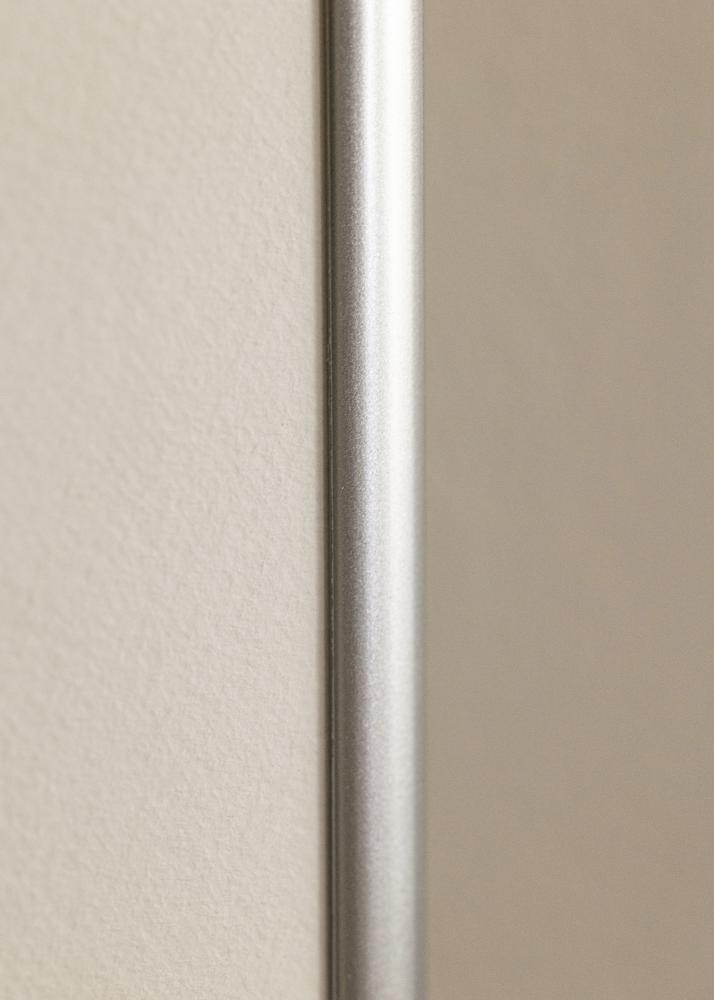 Ram Victoria Akrylglas Silver 61x91,5 cm