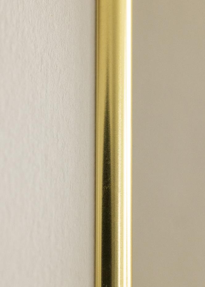 Ram Can-Can Guld 50x70 cm
