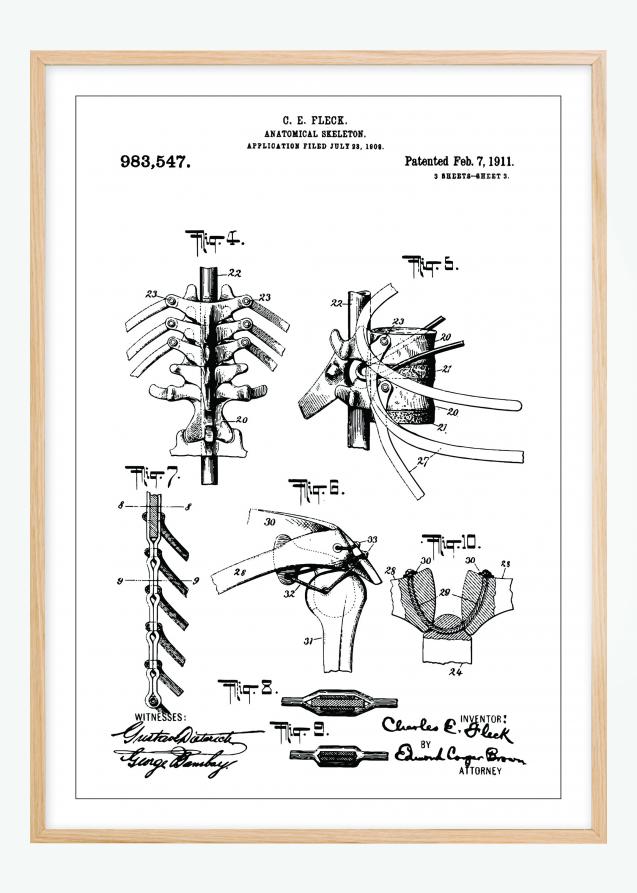 Patentritning - Anatomiskt Skelett III Poster