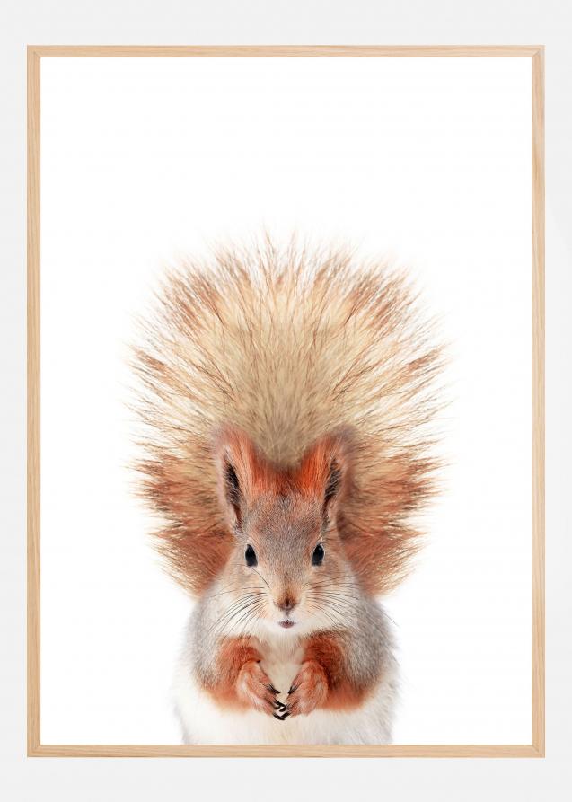 Baby Squirel Poster
