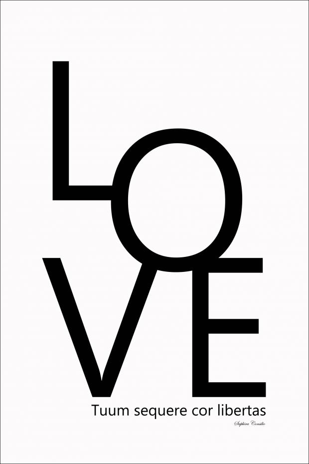 Love text art Poster