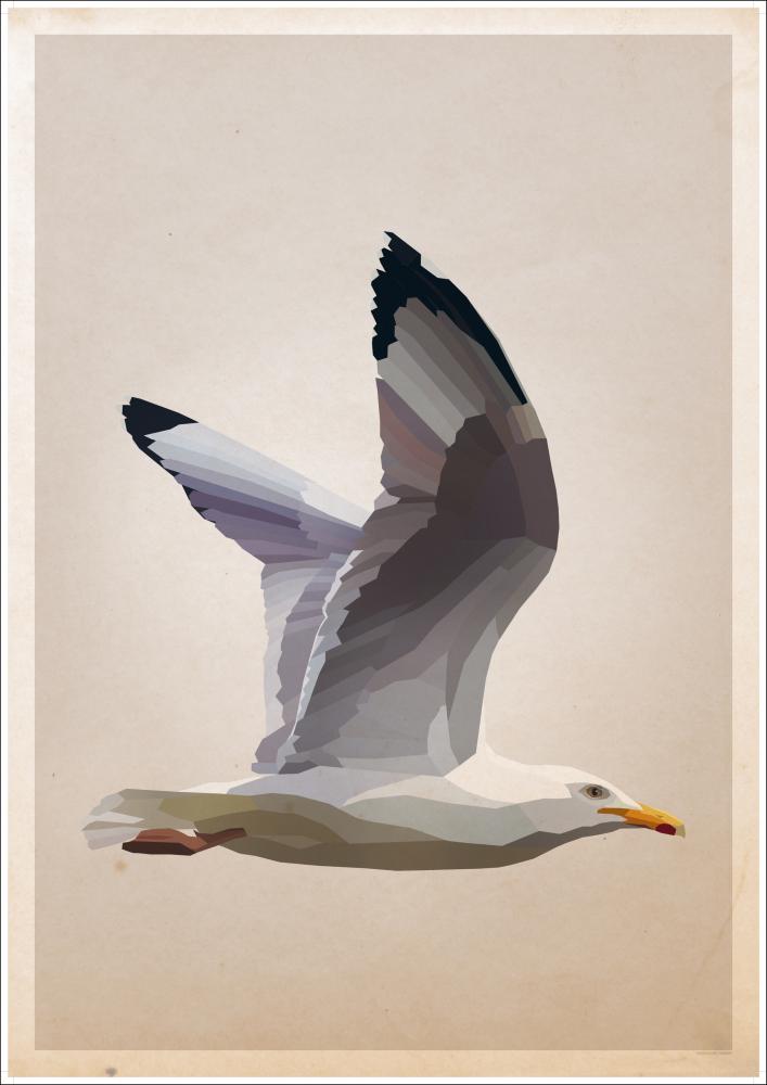 Gull Poster