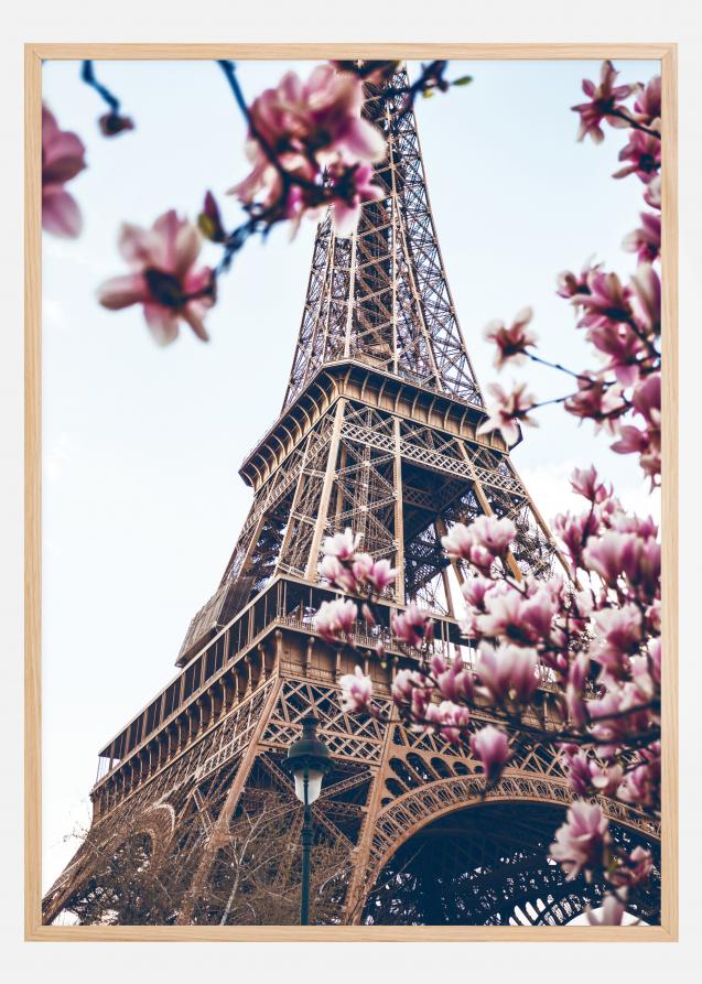 Eiffel Tower Blossoms Poster