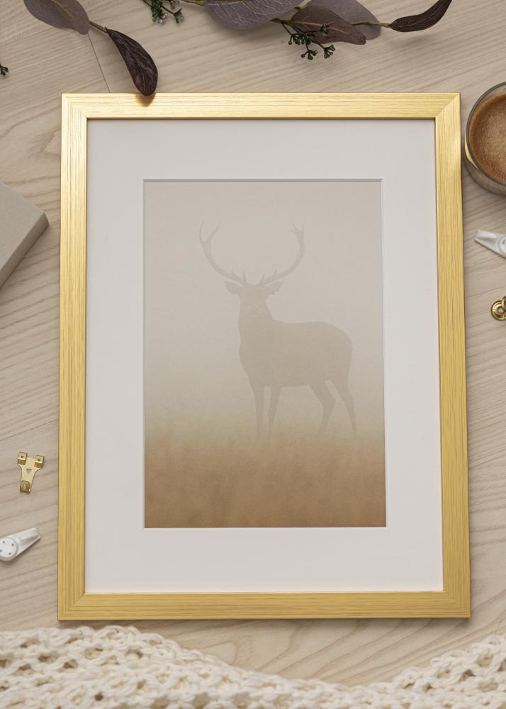 Ram Gold Wood Akrylglas 50x65 cm