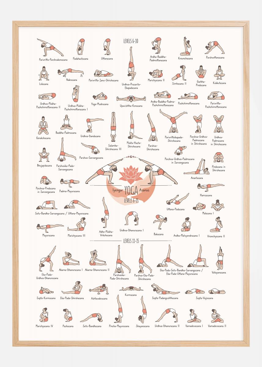 Yoga in Colour lll Poster