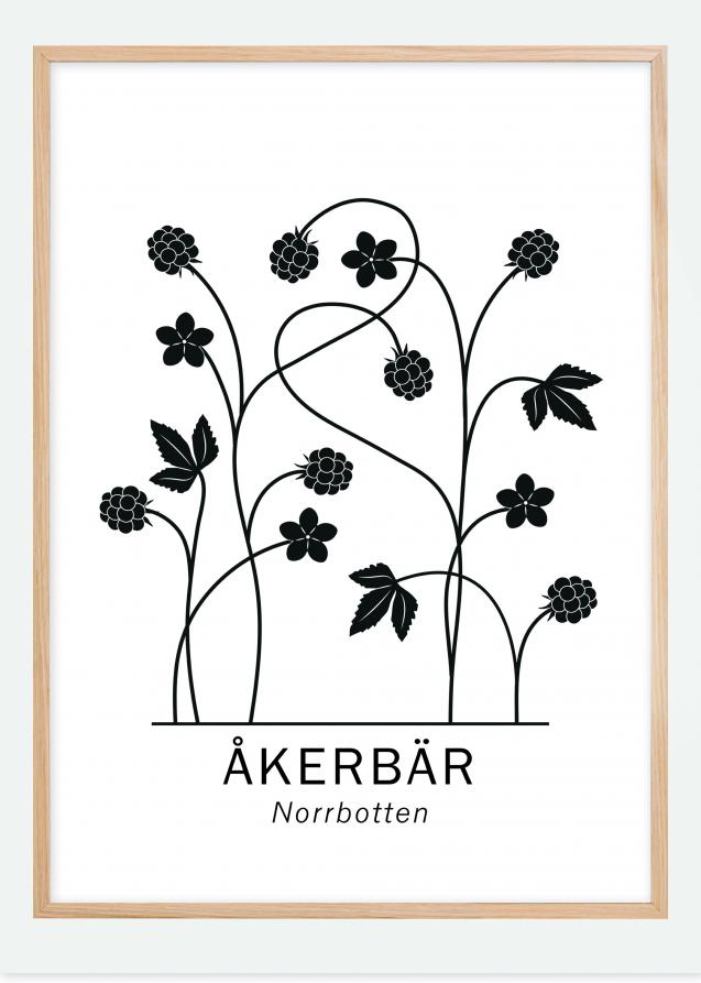 Åkerbär - Norrbotten Poster