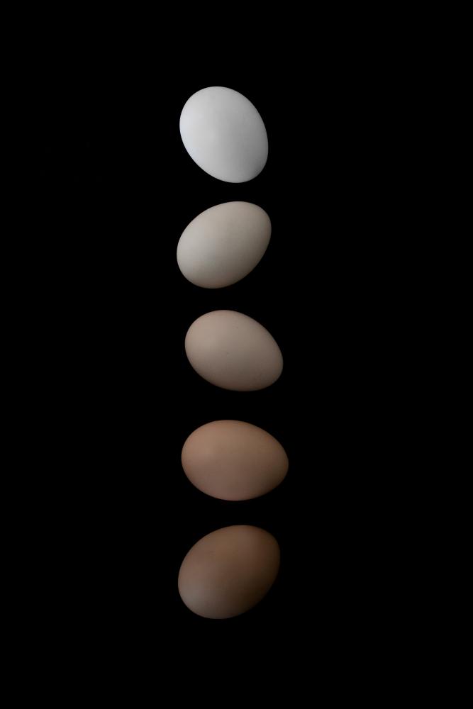 Egg shades Poster