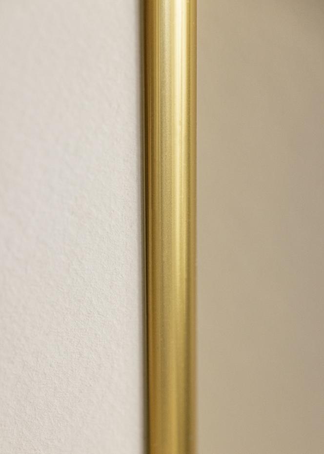 Ram Victoria Akrylglas Guld 61x91,5 cm