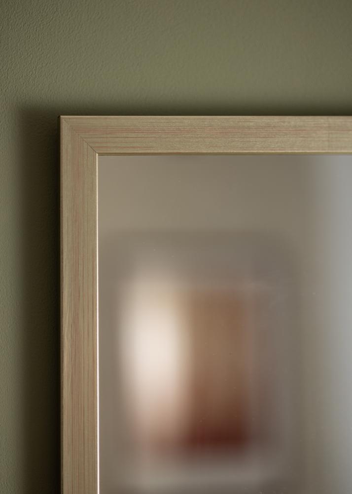 Spegel Silver Wood 70x100 cm