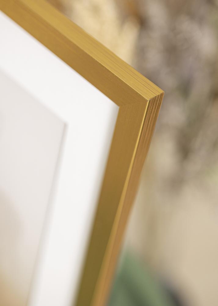 Ram Gold Wood Akrylglas 30x40 cm