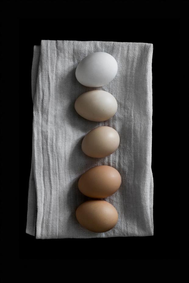 Farm eggs Poster