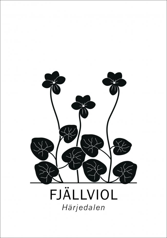 Fjllviol - Hrjedalen Poster