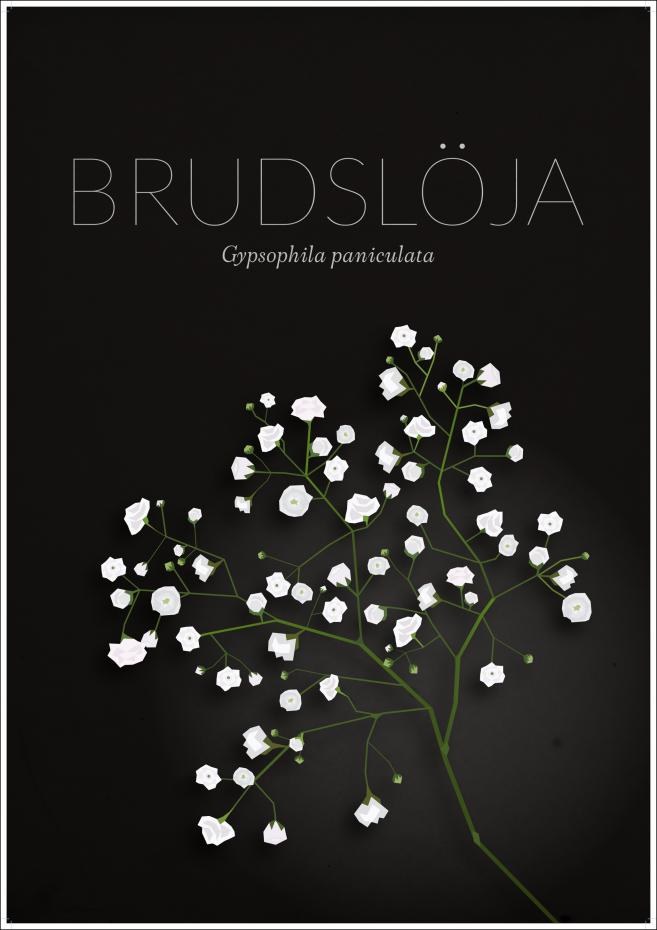 Brudslja Poster