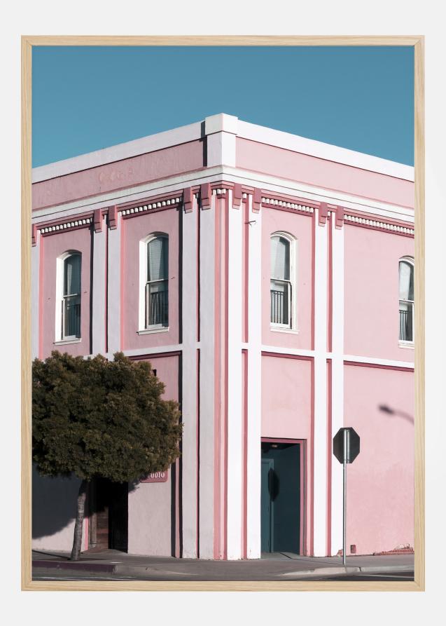 Pink Building Poster