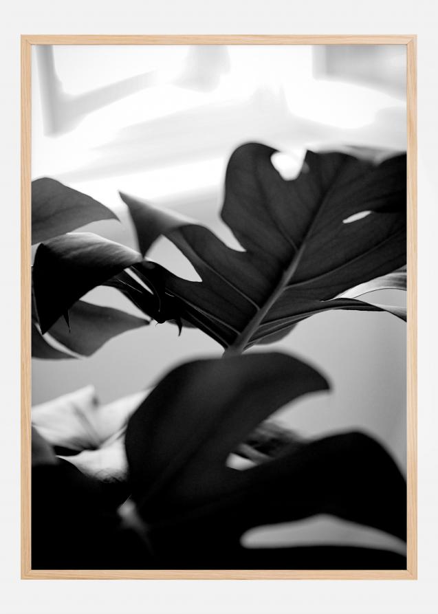 Monstera in Black and White l Poster