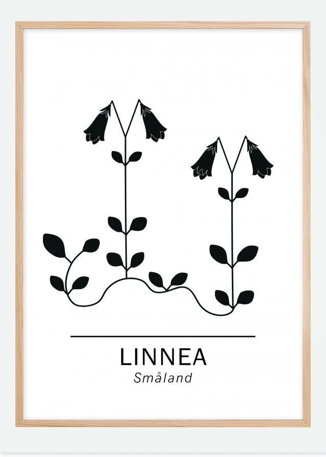 Linnea - Småland Poster