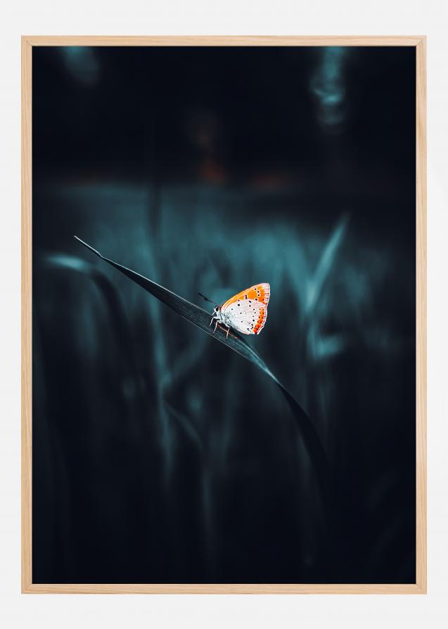 A Lonely Butterfly Poster