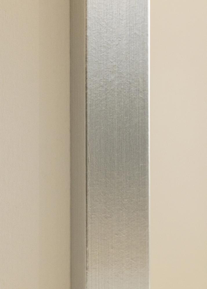 Ram Trendy Silver 40x50 cm