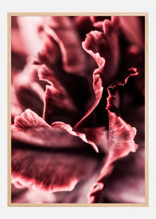 Rose petals Poster