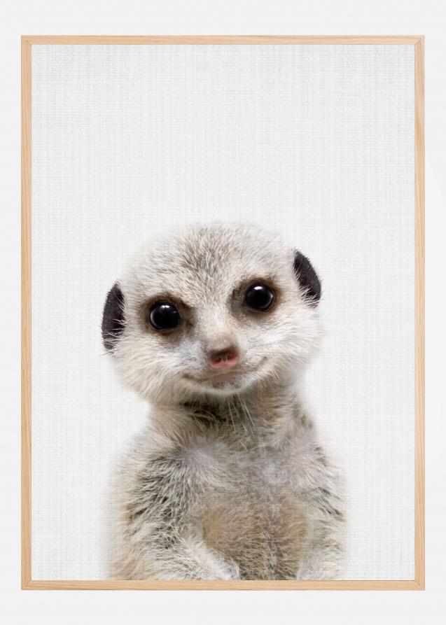 Peekaboo Baby Meerkat Poster
