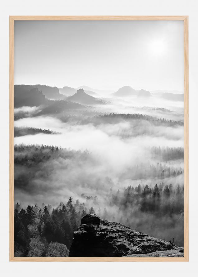 Foggy Forest Black & White I - 50x70 cm Poster