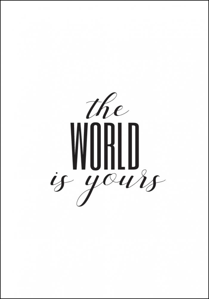 The world is yours Poster
