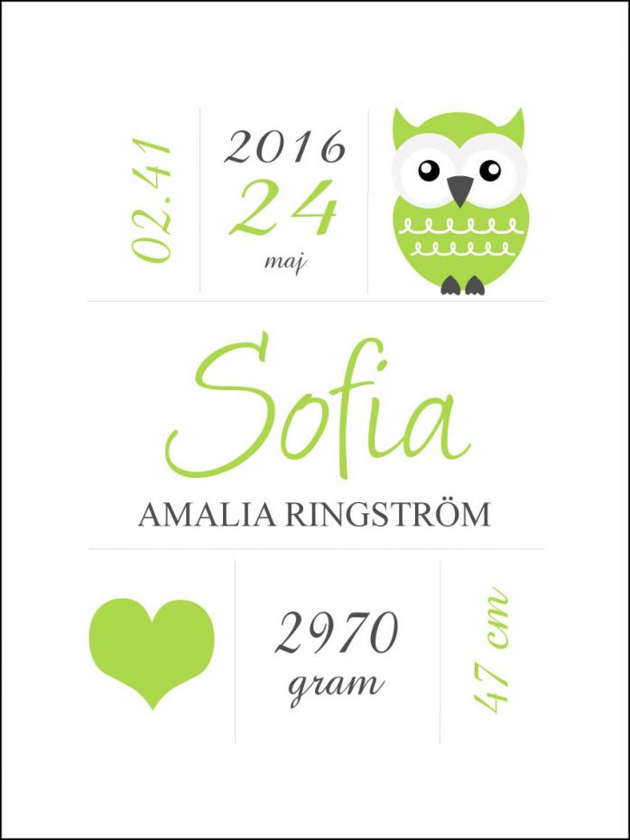 Owl Birth Poster Green