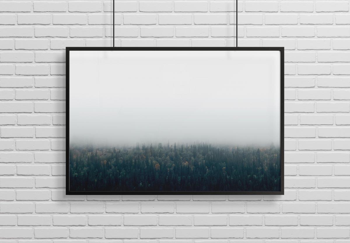 Forests in fog Poster