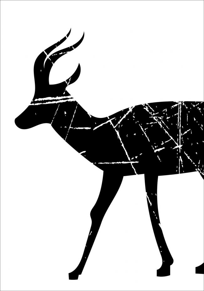Gazelle Poster