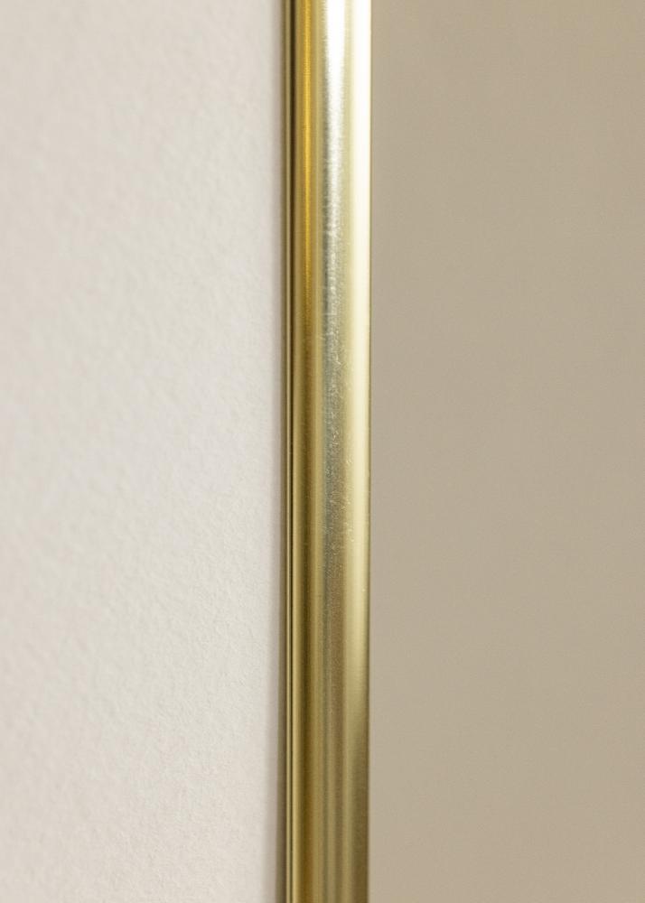 Ram Visby Akrylglas Blank Guld 21x29,7 cm (A4)