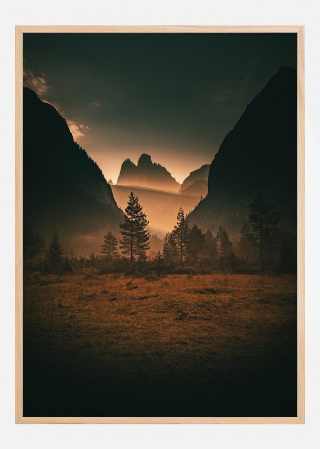 Forest Poster