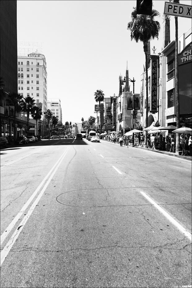 Hollywood Blvd Street Poster
