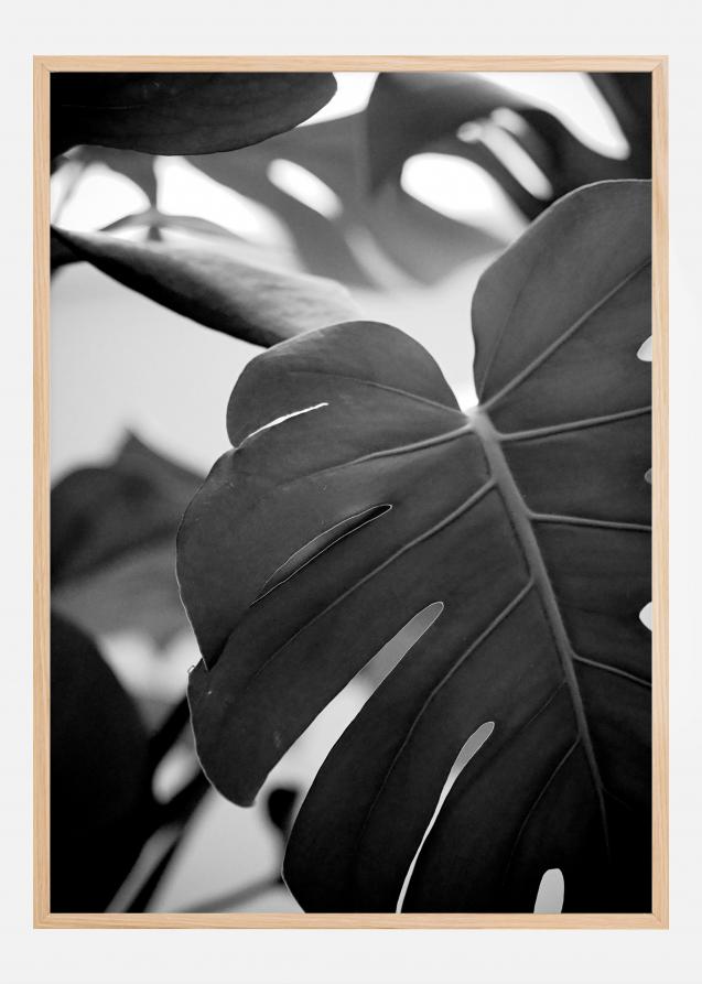 Monstera in Black and White ll Poster
