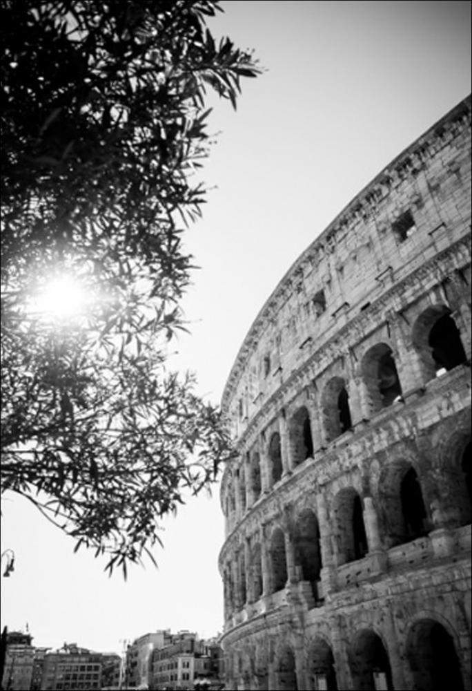 When in Rome - 42x59,4 cm (A2) Poster