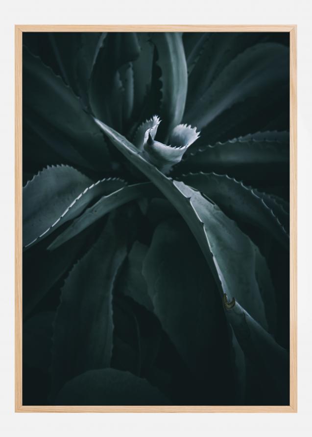 Thorny Flower Poster