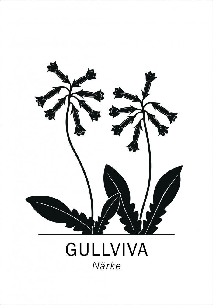 Gullviva - Nrke Poster