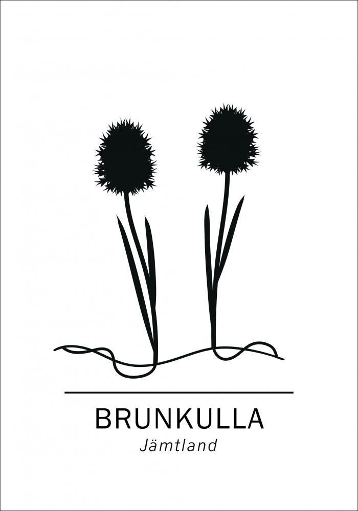 Brunkulla - Jmtland Poster