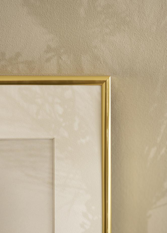 Ram Visby Akrylglas Blank Guld 70x100 cm